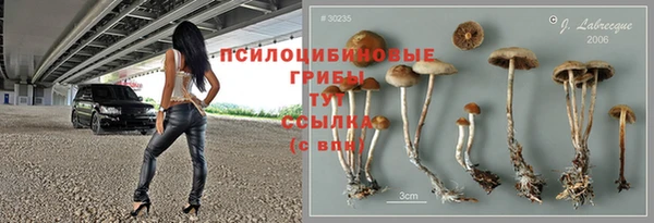 стафф Елабуга